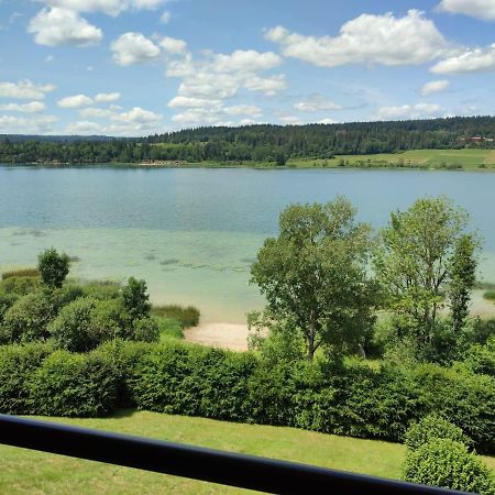 Duplex Le Reflet Du Lac Malbuisson Dış mekan fotoğraf